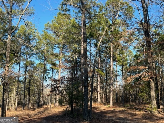 10 Mallard Road Butler, GA 31006 - Photo 6 of 13 a view of a yard with plants and trees