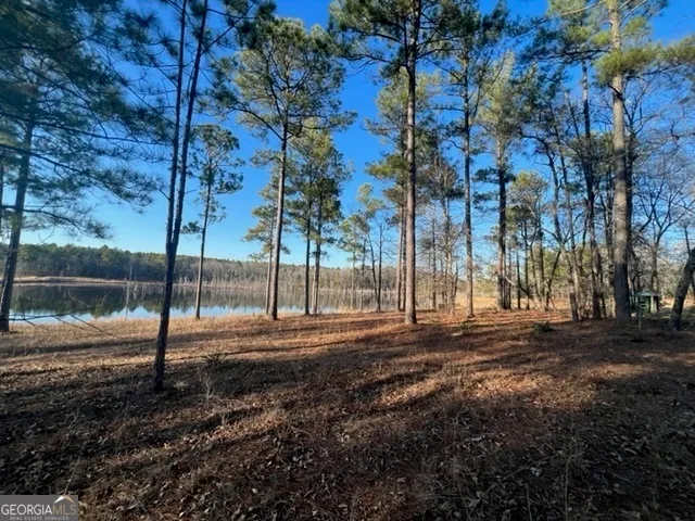 a view of a park with large trees