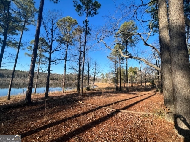 10 Mallard Road Butler, GA 31006 - Photo 9 of 13 a view of a backyard of the house