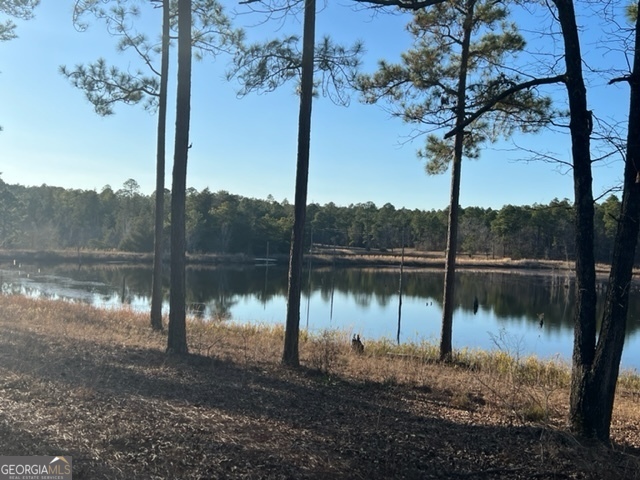 10 Mallard Road Butler, GA 31006 - Photo 10 of 13 a lake view with mountain view