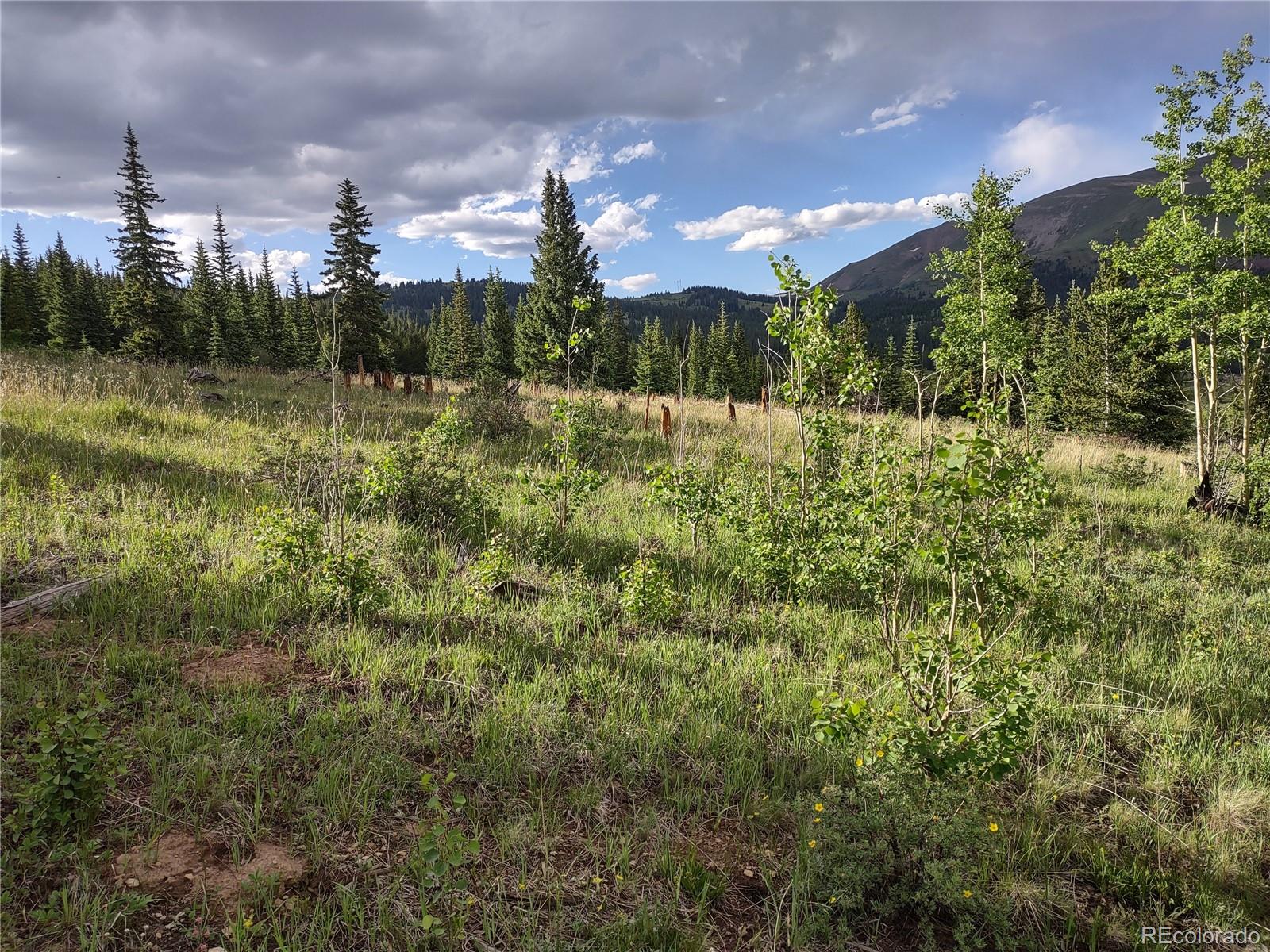 0 Snow Cap Peaks Road Fairplay, CO 80440 - Photo 4 of 20