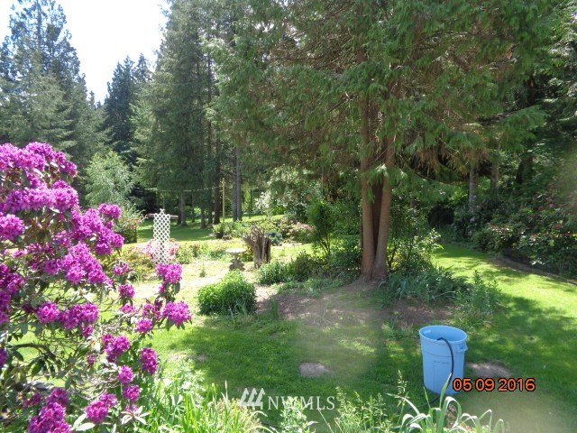 505 Hazel Dell Road Castle Rock, WA 98611 - Photo 21 of 24 Gallery Image 21