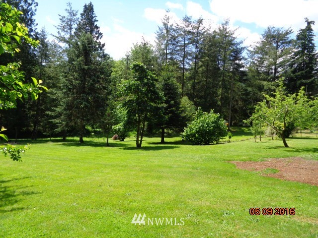 505 Hazel Dell Road Castle Rock, WA 98611 - Photo 4 of 24 Gallery Image 4