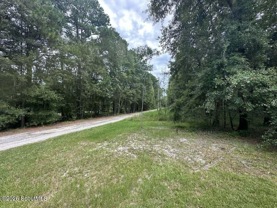 380 Pennick Road Brunswick, GA 31525 - Photo 18 of 23 So much privacy