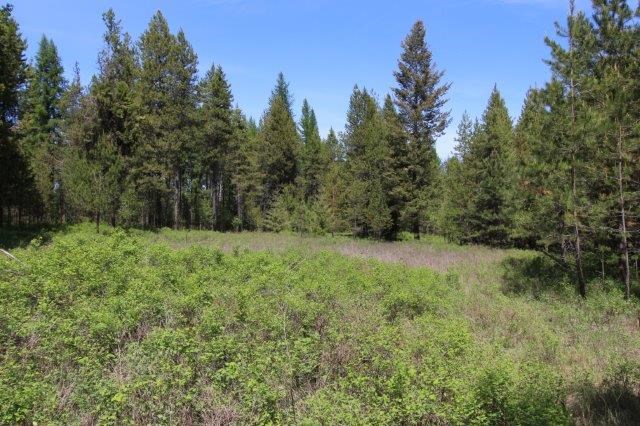 35926 North Conklin Road Elk, WA 99009 - Photo 2 of 15