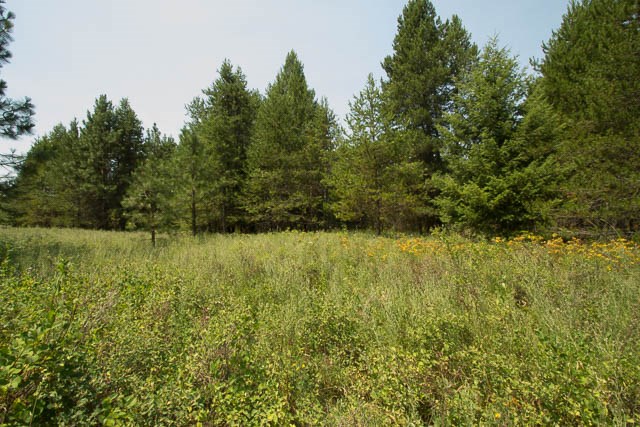 35926 North Conklin Road Elk, WA 99009 - Photo 11 of 15