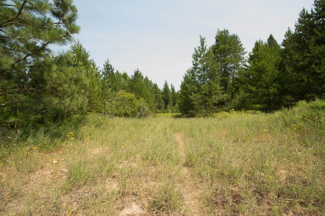 35926 North Conklin Road Elk, WA 99009 - Photo 12 of 15