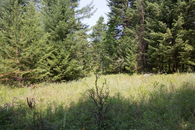 35926 North Conklin Road Elk, WA 99009 - Photo 13 of 15