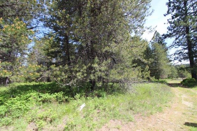 35926 North Conklin Road Elk, WA 99009 - Photo 3 of 15