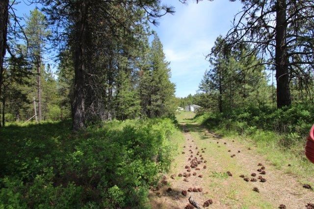 35926 North Conklin Road Elk, WA 99009 - Photo 5 of 15