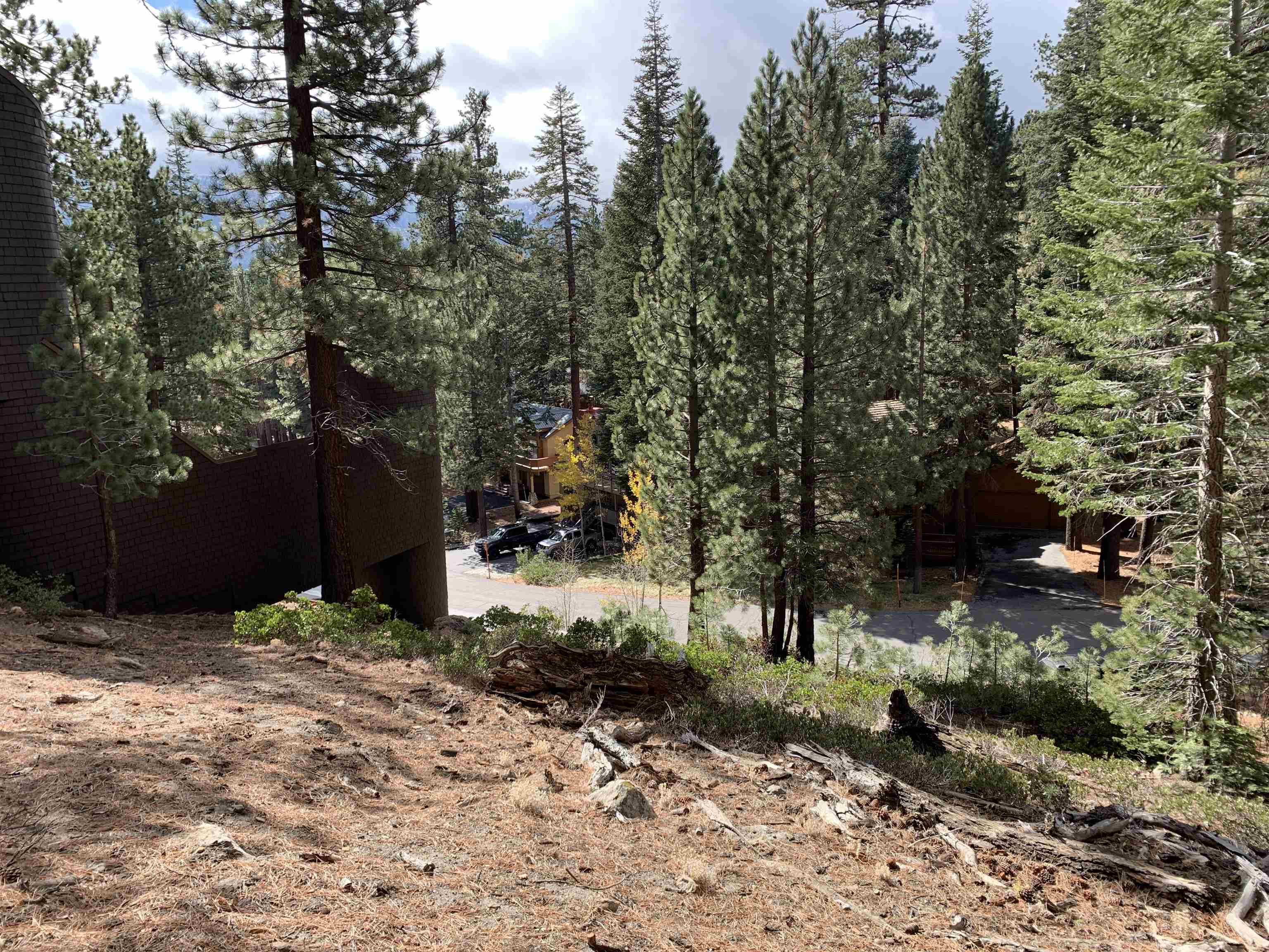 190 Grindelwald Road Mammoth Lakes, CA 93546 - Photo 2 of 6 a backyard of a house with lots of green space