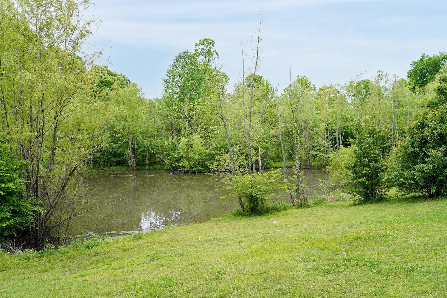 629 Brasfield Road Dresden, TN 38225 - Photo 16 of 21 a view of a lake with a yard