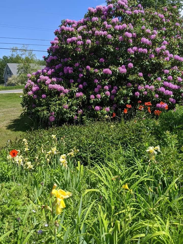 1450 Harpswell Neck Road Harpswell, ME 04079 - Photo 13 of 88 Gardens