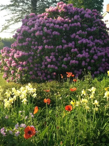 $530,000 | 1450 Harpswell Neck Road, Harpswell, ME 04079