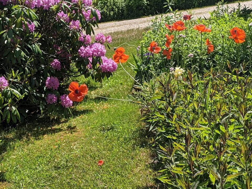 1450 Harpswell Neck Road Harpswell, ME 04079 - Photo 9 of 88 Gardens