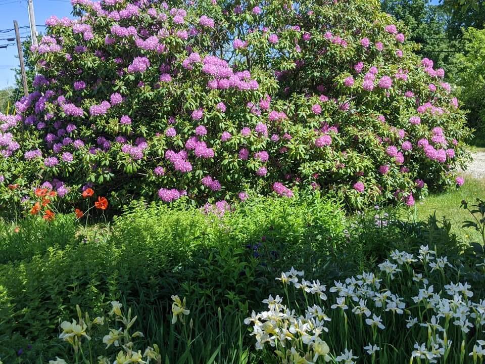 1450 Harpswell Neck Road Harpswell, ME 04079 - Photo 10 of 88 Gardens