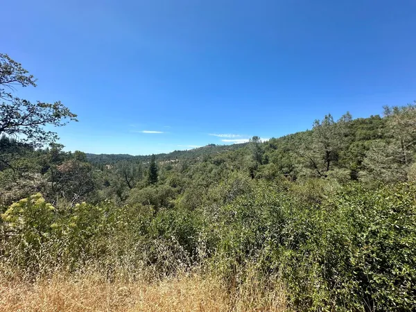 a view of a mountain range with trees in the background