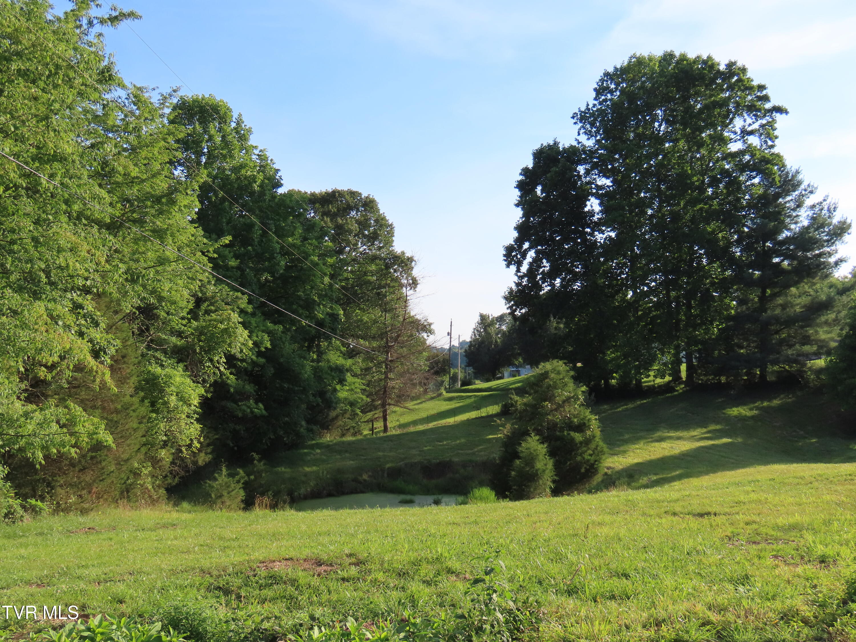 Tbd Ball Field Road Gate City, VA 24251 - Photo 6 of 22 pond