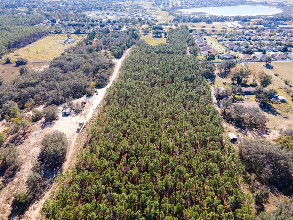 Lost Lake Road Clermont, FL 34711 - Photo 3 of 12