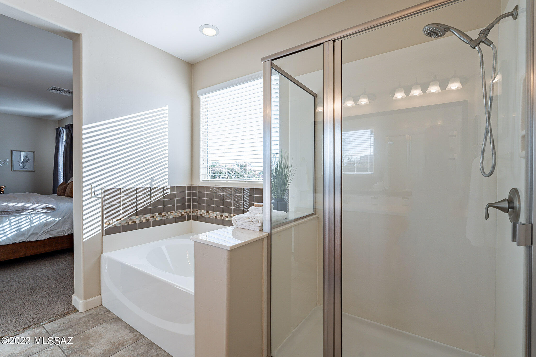 8409 North Gaetano Loop Tucson, AZ 85742 - Photo 25 of 49