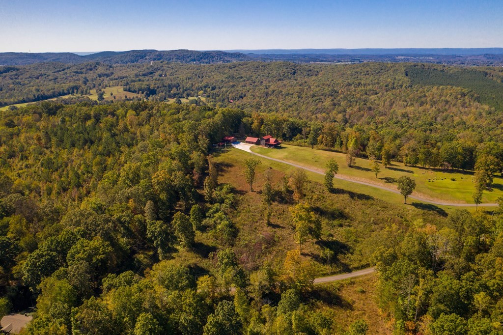 101 Swafford Georgetown, TN 37336 - Photo 55 of 65