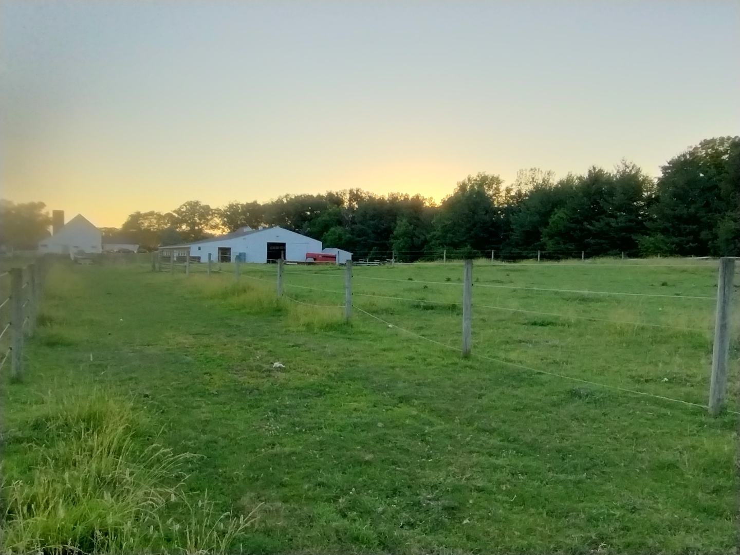 29153 South Klemme Road Beecher, IL 60401 - Photo 28 of 38 a view of a big yard with plants and large trees