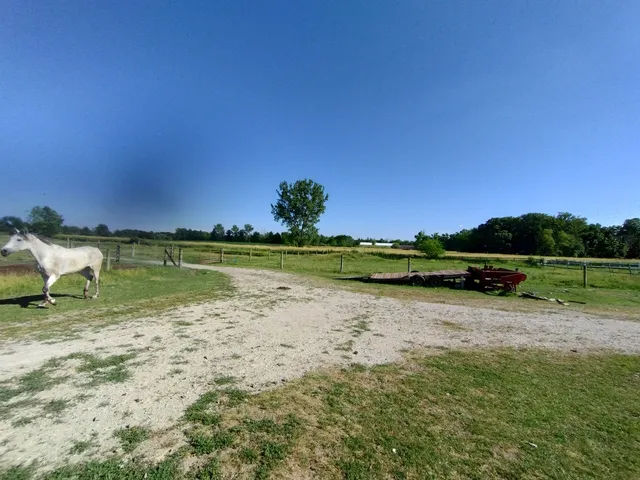 a view of a lake with houses in the background