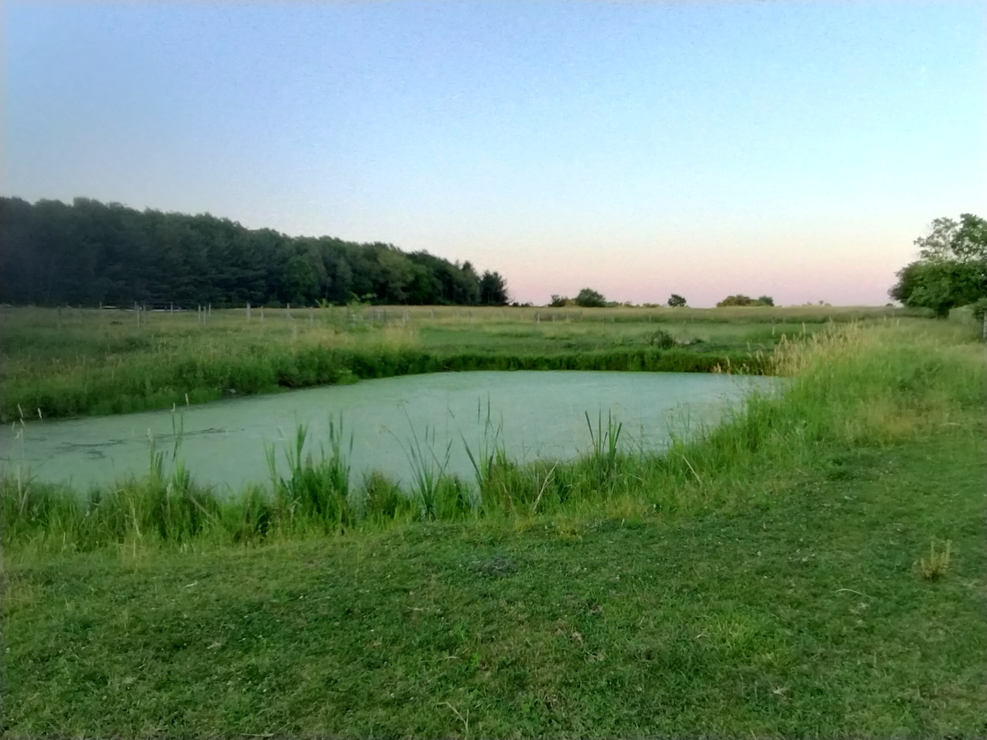 29153 South Klemme Road Beecher, IL 60401 - Photo 5 of 38 a view of a lake from a yard