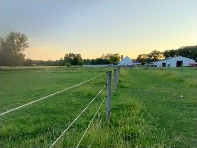 a view of a field of grass and trees