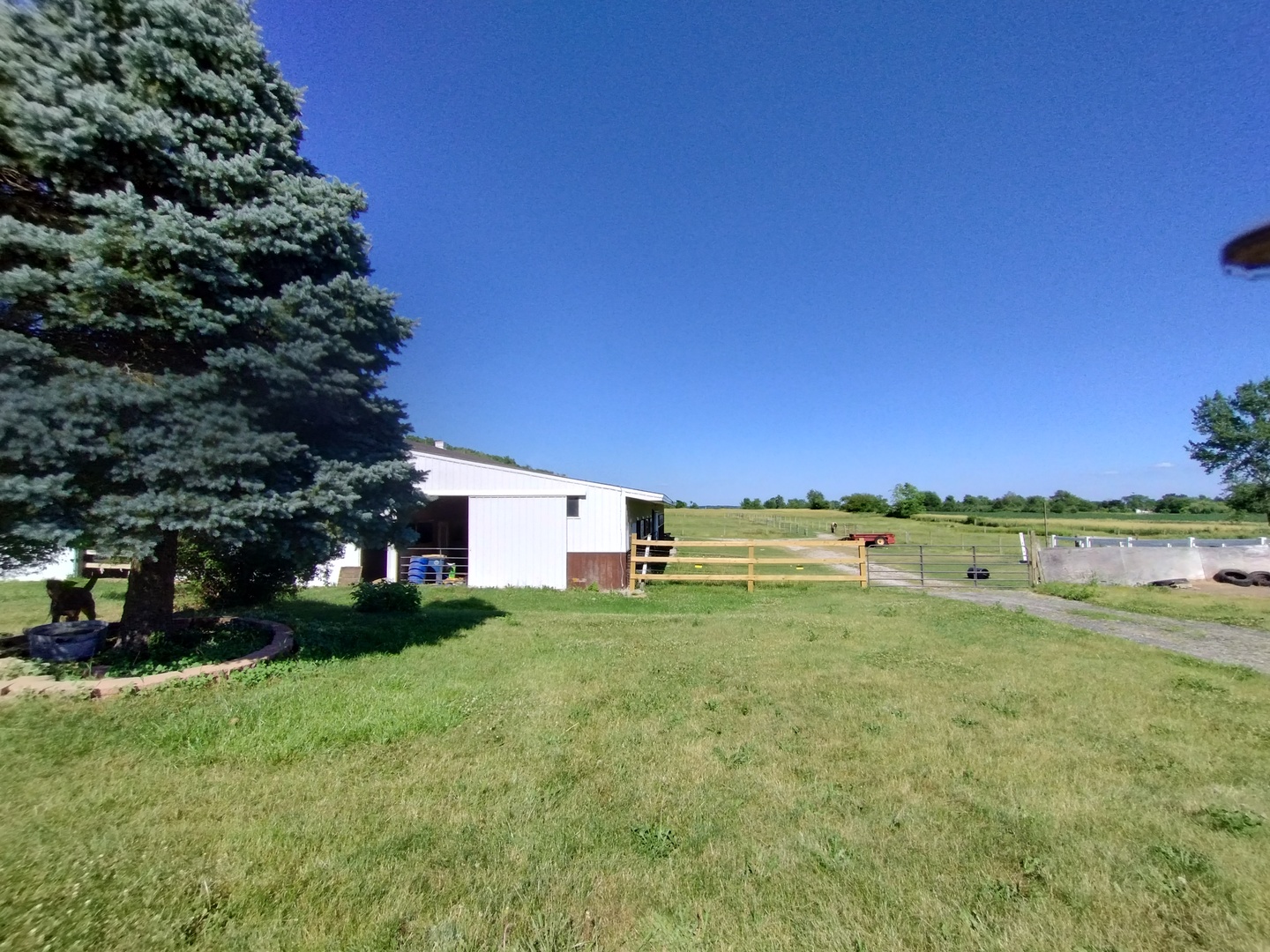 29153 South Klemme Road Beecher, IL 60401 - Photo 8 of 38 a view of a field of grass and trees