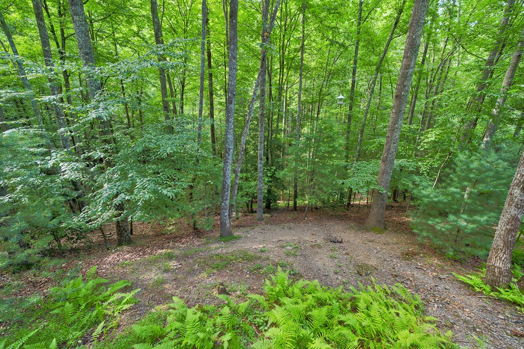 584 Laurel Ridge Drive Blue Ridge, GA 30513 - Photo 16 of 49 a view of a lush green forest