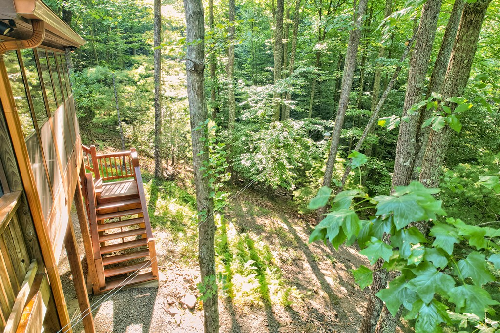 584 Laurel Ridge Drive Blue Ridge, GA 30513 - Photo 42 of 49 a view of outdoor space and garden
