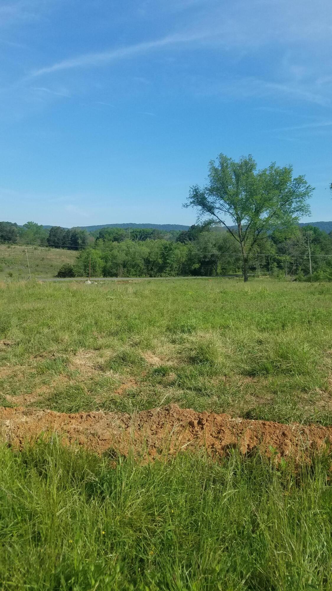 0 Shephards Chapel Road, Unit 2 Rogersville, TN 37857 - Photo 1 of 6 lot 2