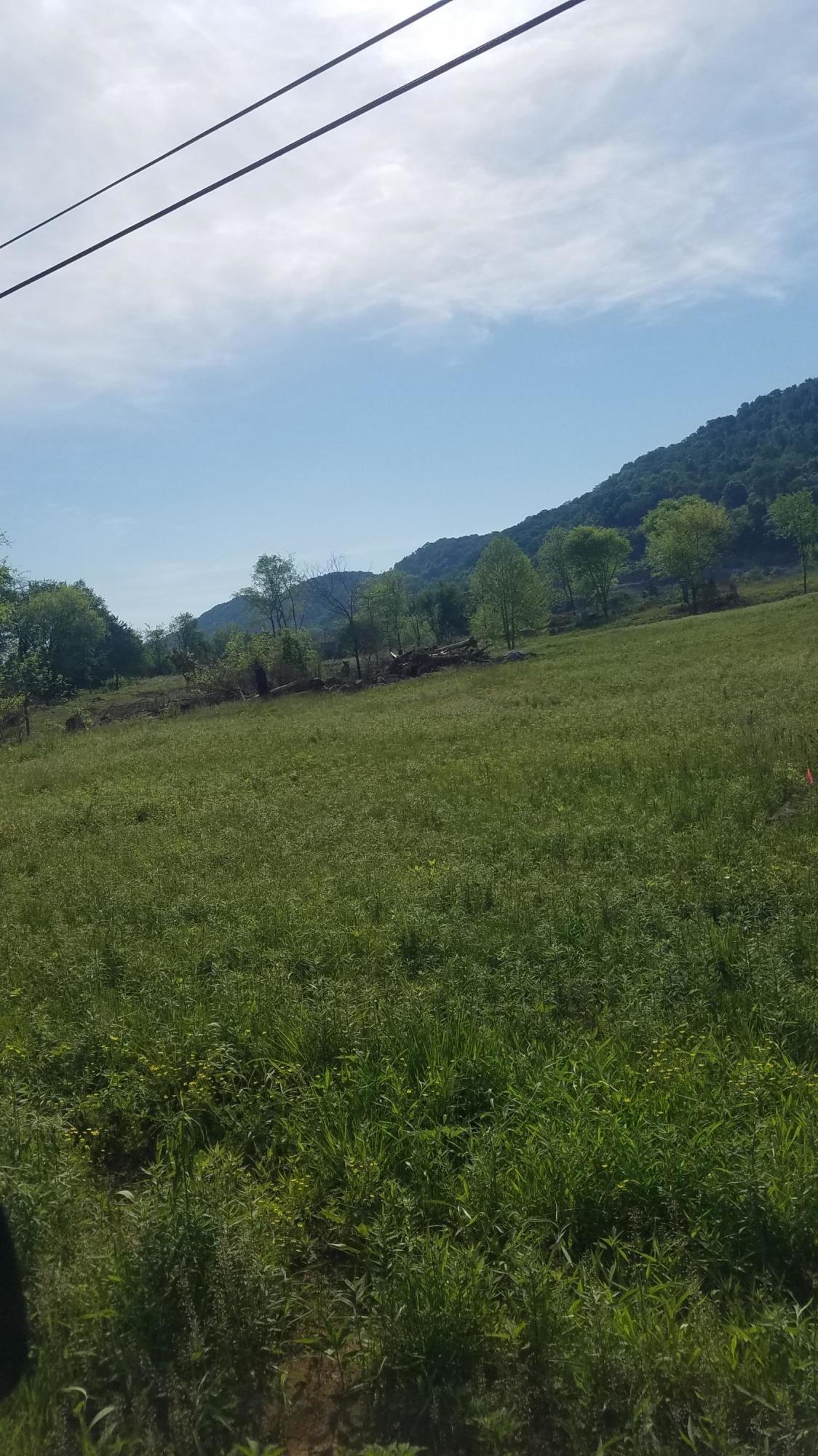 0 Shephards Chapel Road, Unit 2 Rogersville, TN 37857 - Photo 3 of 6 lot 2& 3