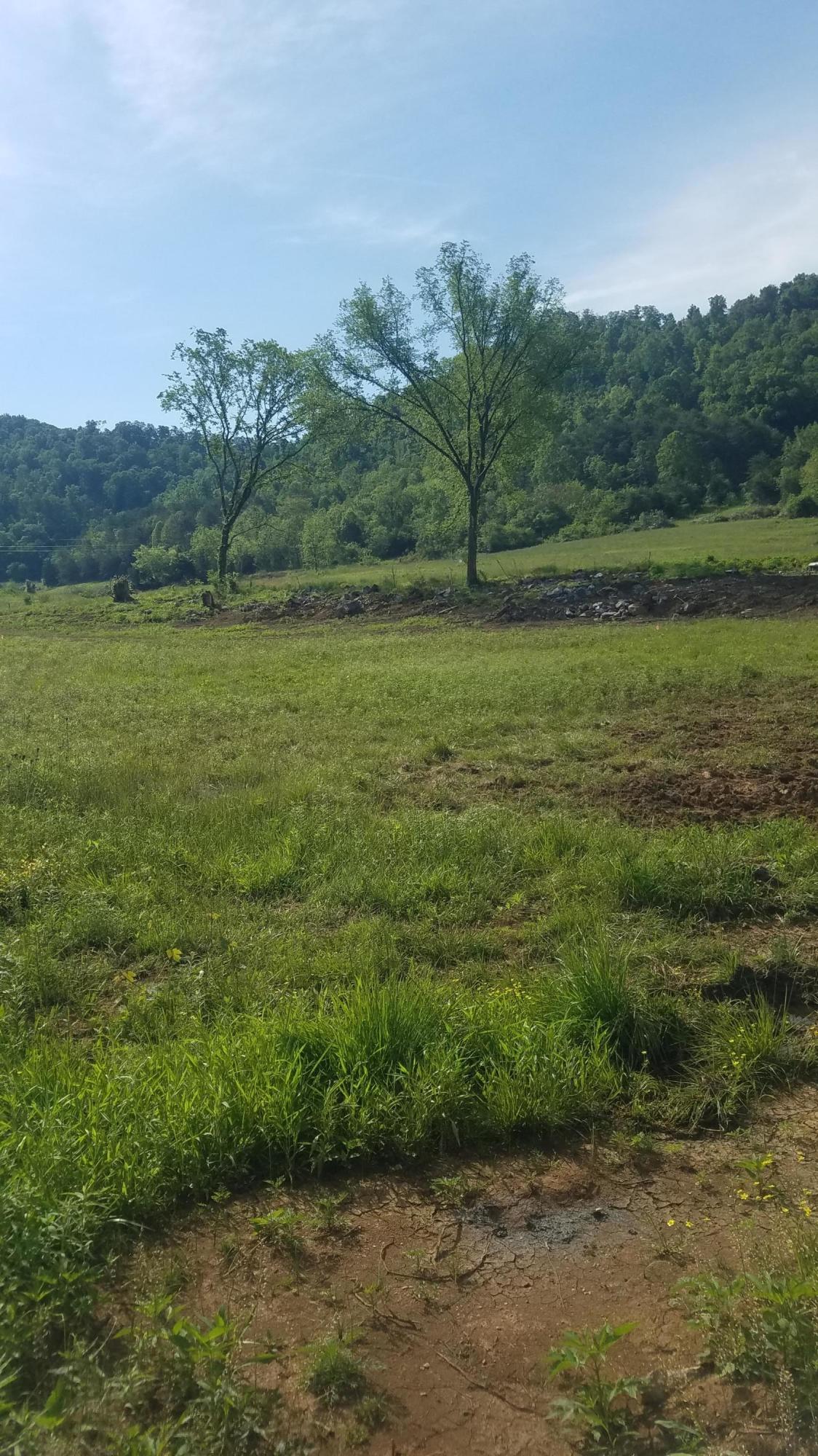 0 Shephards Chapel Road, Unit 2 Rogersville, TN 37857 - Photo 4 of 6 Lot 2&3