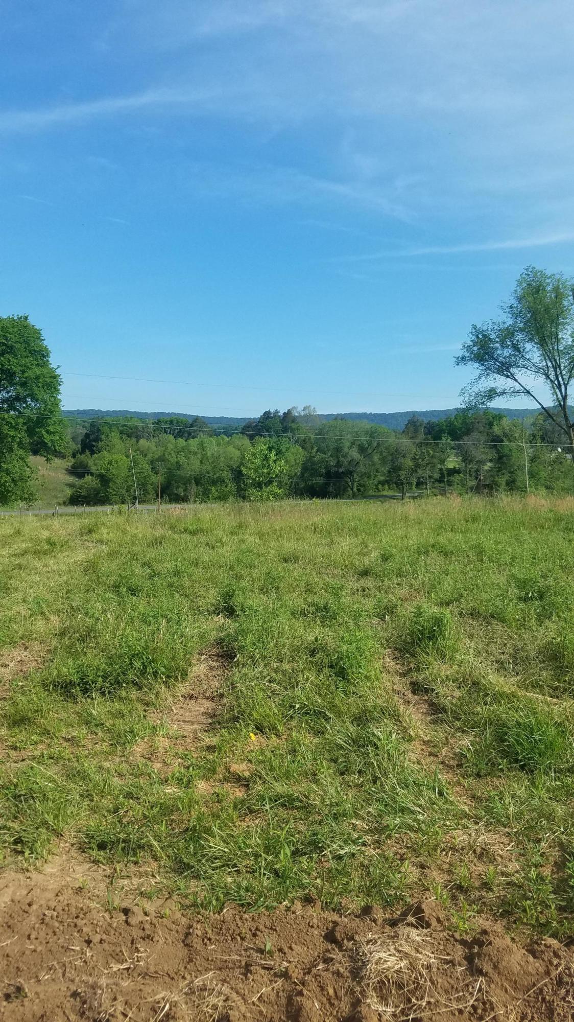 0 Shephards Chapel Road, Unit 2 Rogersville, TN 37857 - Photo 5 of 6 lot 2b