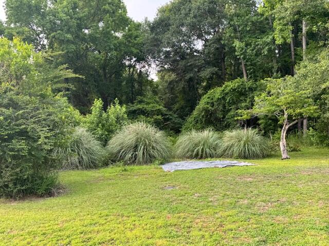 1682 Heritage Drive Manning, SC 29102 - Photo 34 of 35 IMG_8668