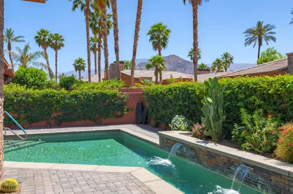 a view of a backyard with a garden and plants
