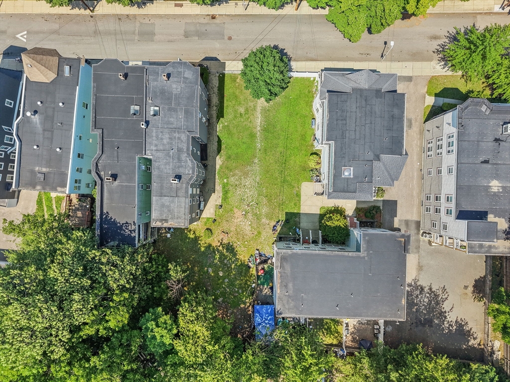 34 Cobden Street Boston, MA 02119 - Photo 2 of 8