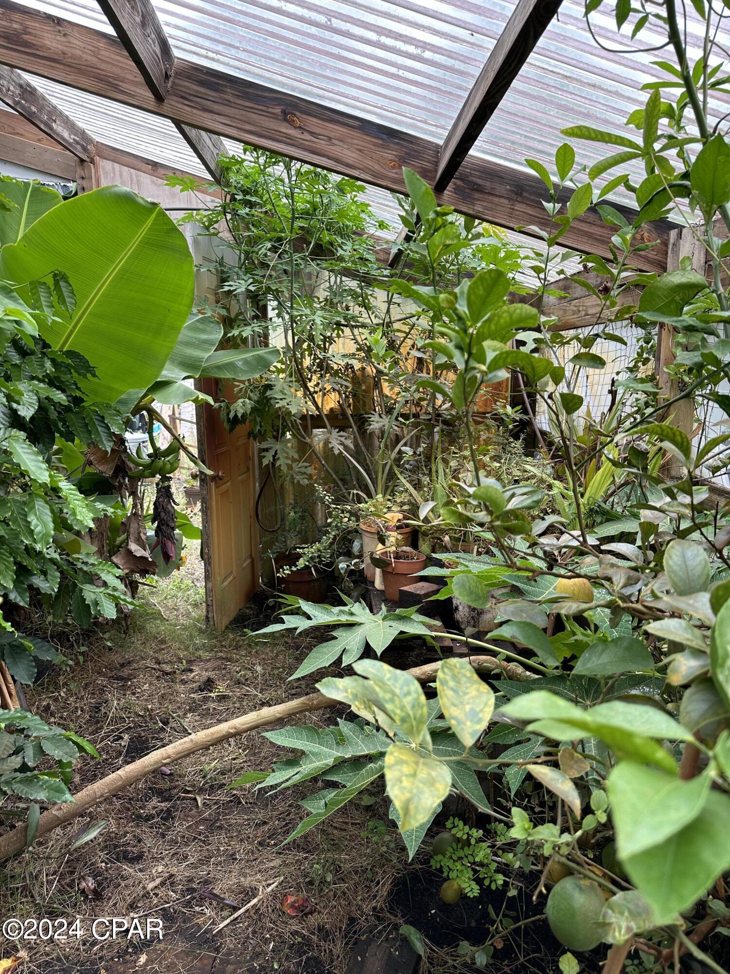 23125 Northwest Walter Potts Road Altha, FL 32421 - Photo 31 of 85