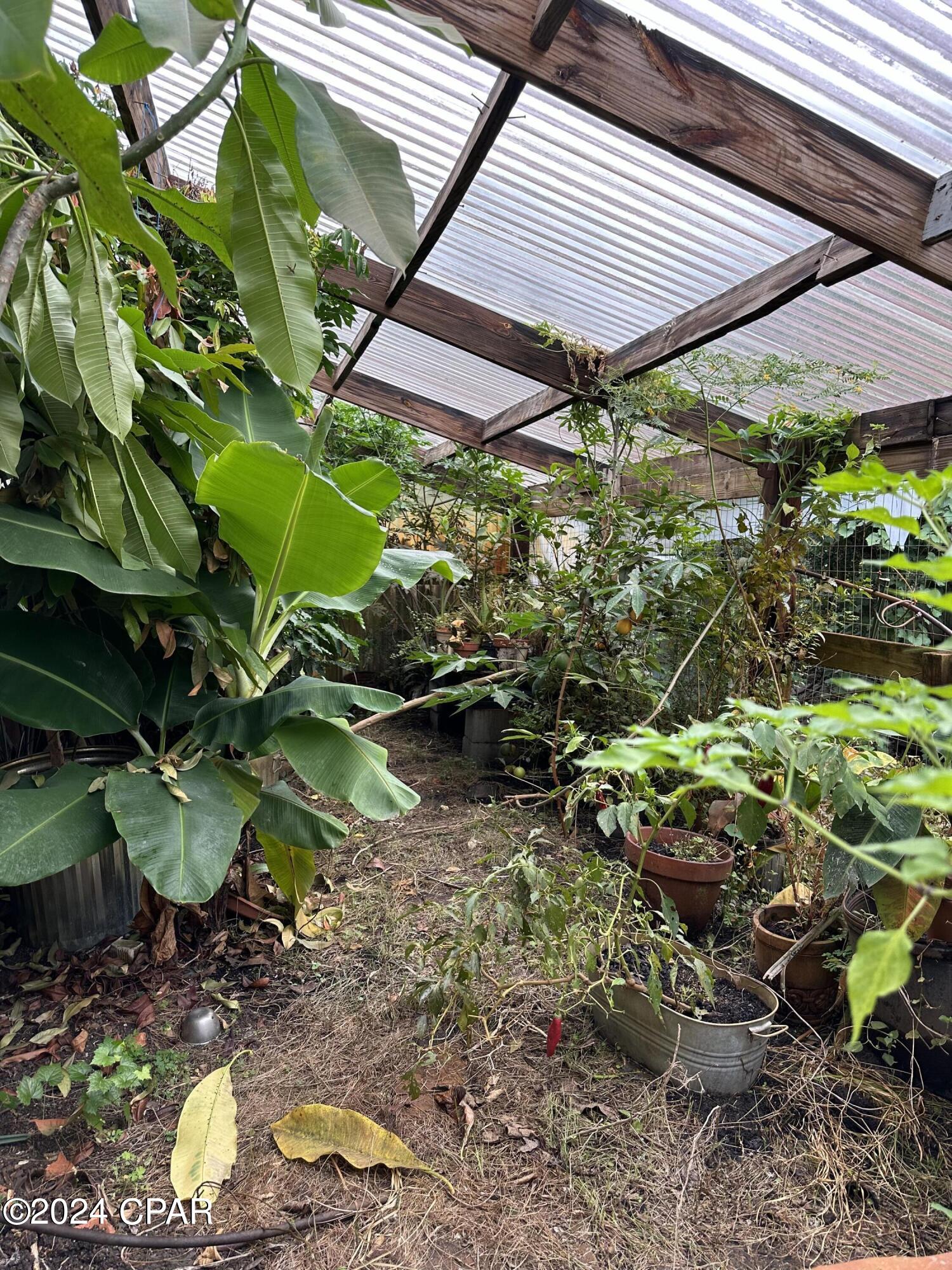 23125 Northwest Walter Potts Road Altha, FL 32421 - Photo 33 of 85