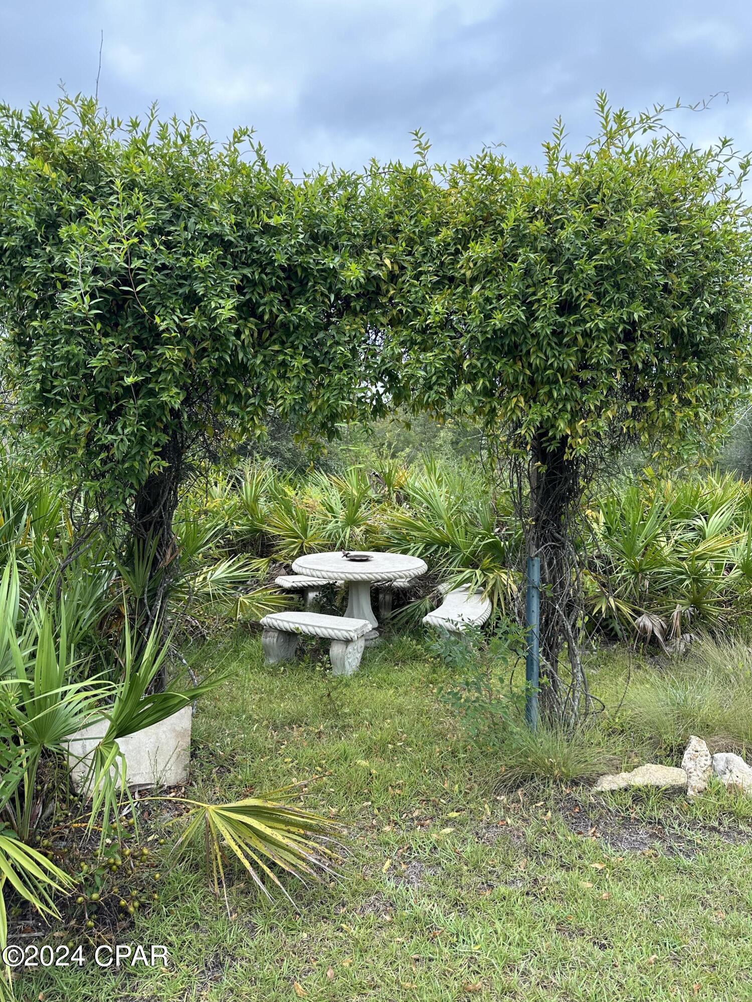 23125 Northwest Walter Potts Road Altha, FL 32421 - Photo 44 of 85