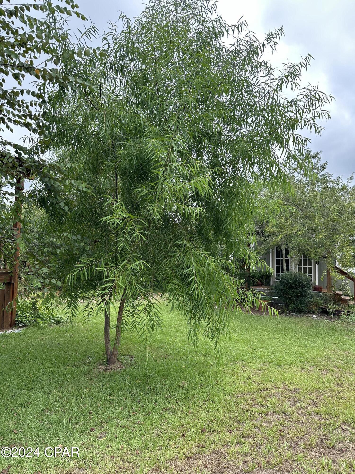 23125 Northwest Walter Potts Road Altha, FL 32421 - Photo 46 of 85