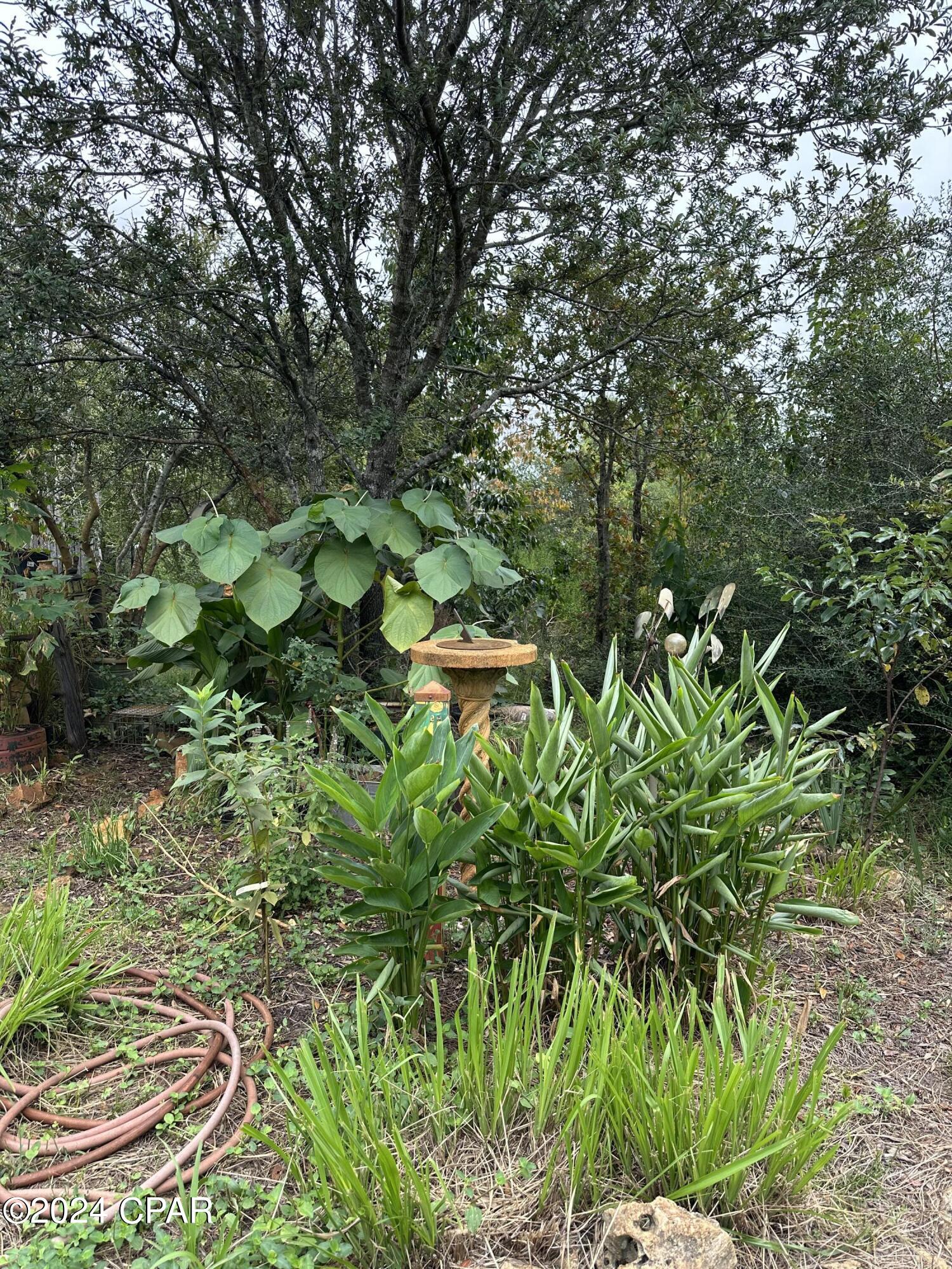 23125 Northwest Walter Potts Road Altha, FL 32421 - Photo 48 of 85