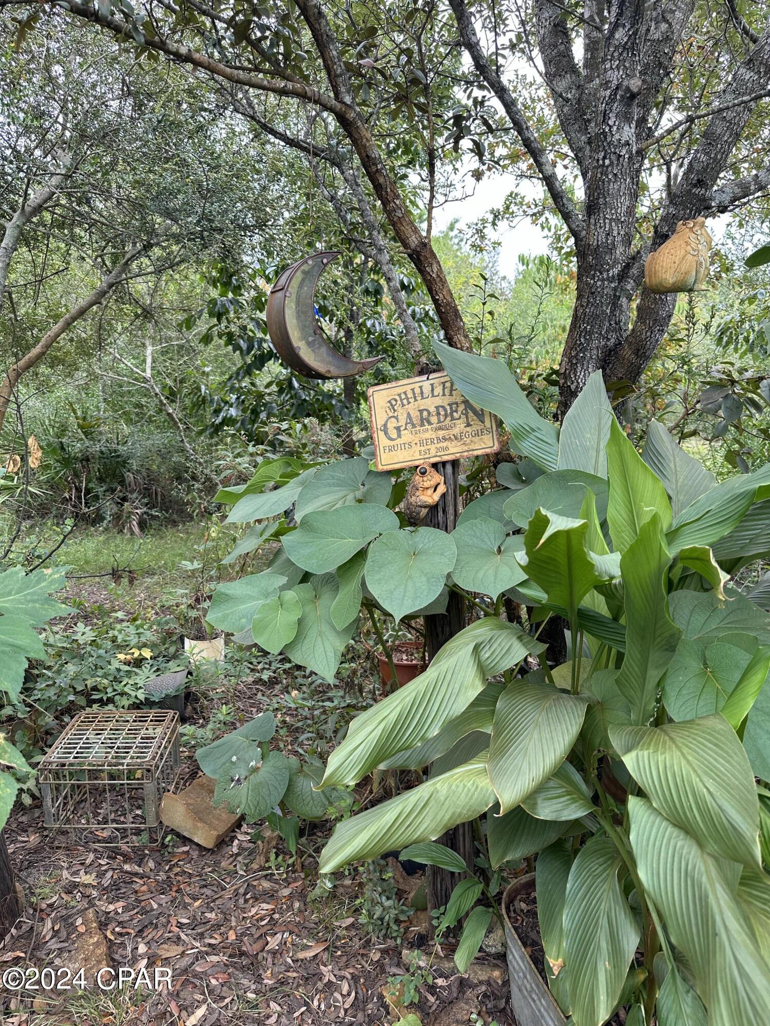 23125 Northwest Walter Potts Road Altha, FL 32421 - Photo 49 of 85