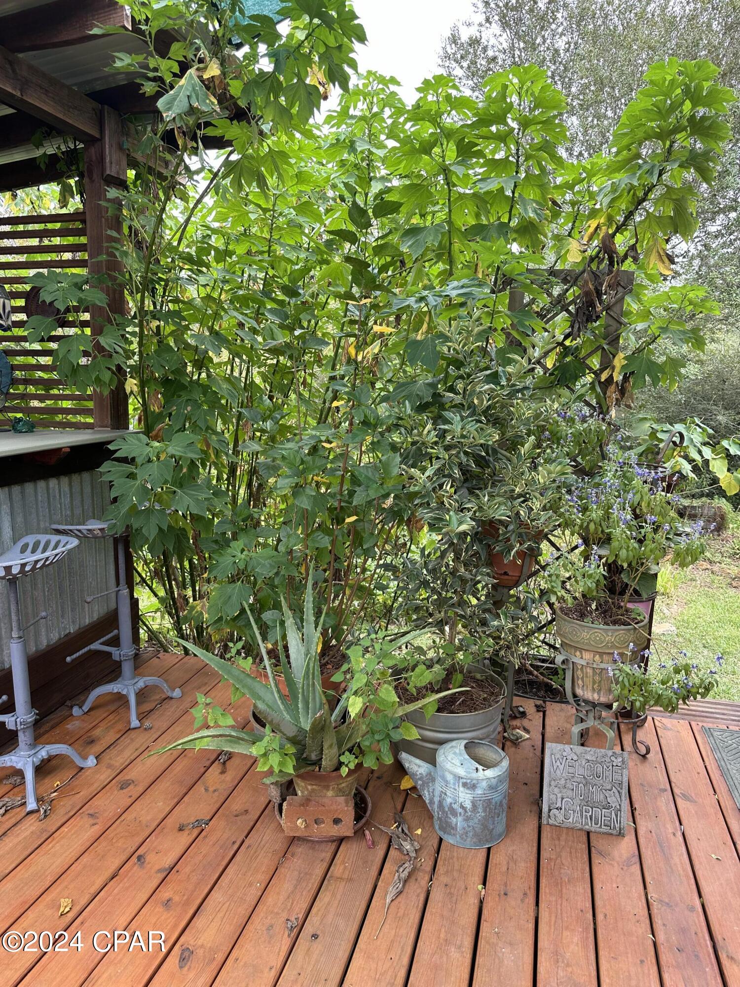 23125 Northwest Walter Potts Road Altha, FL 32421 - Photo 61 of 85