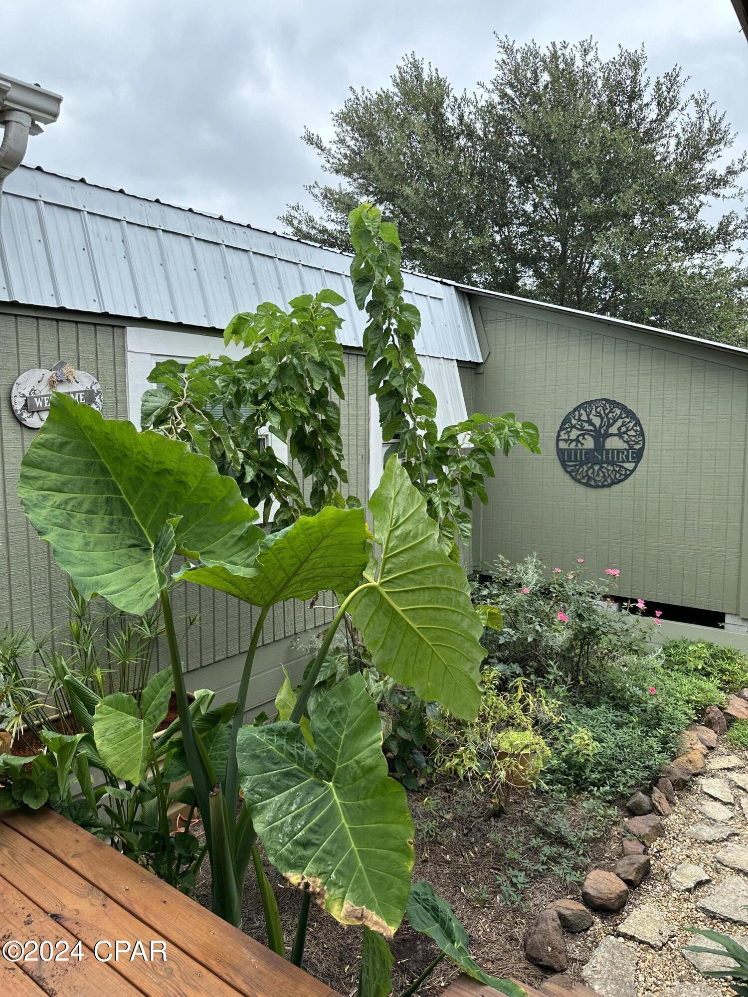 23125 Northwest Walter Potts Road Altha, FL 32421 - Photo 67 of 85