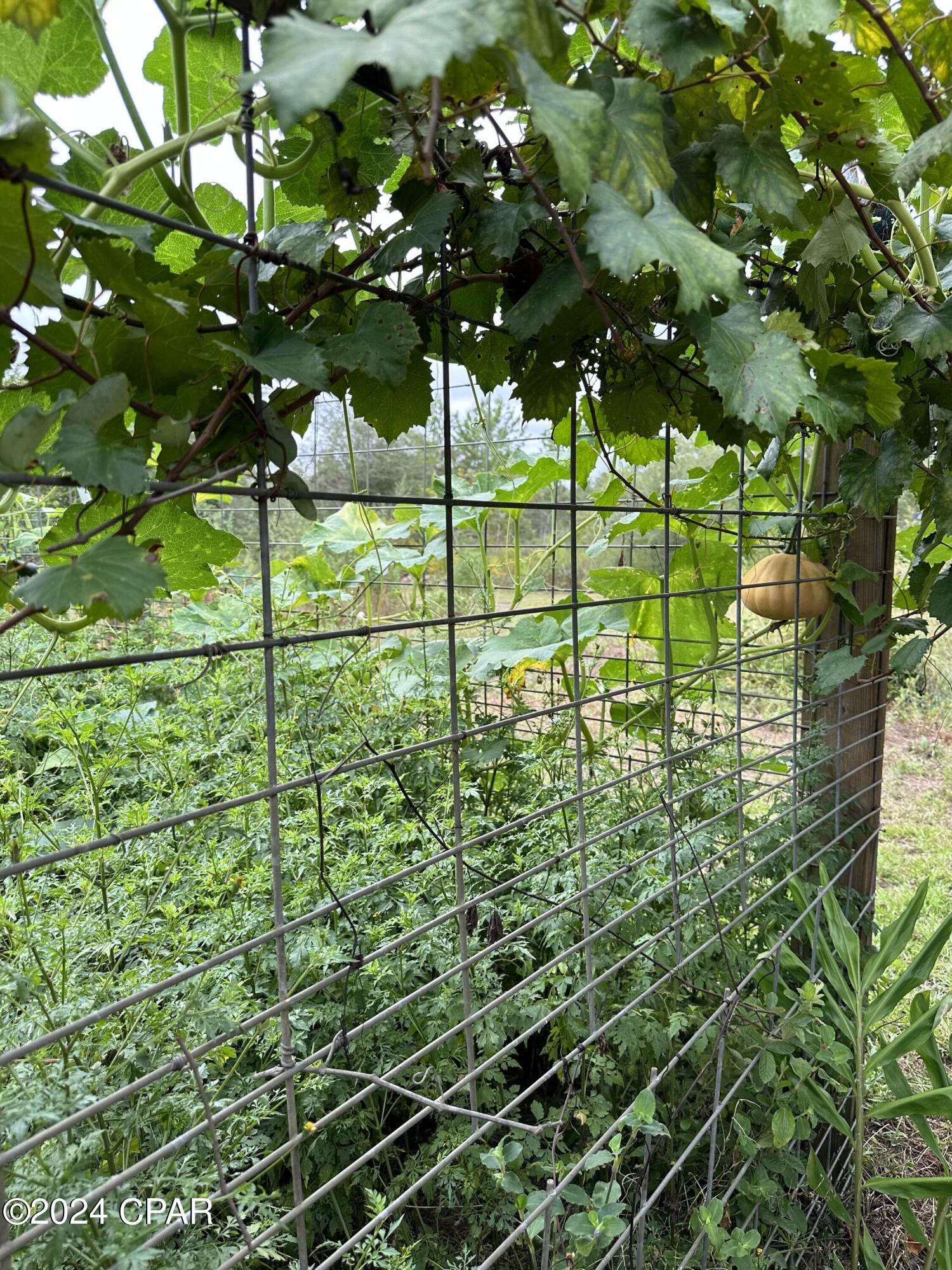 23125 Northwest Walter Potts Road Altha, FL 32421 - Photo 72 of 85