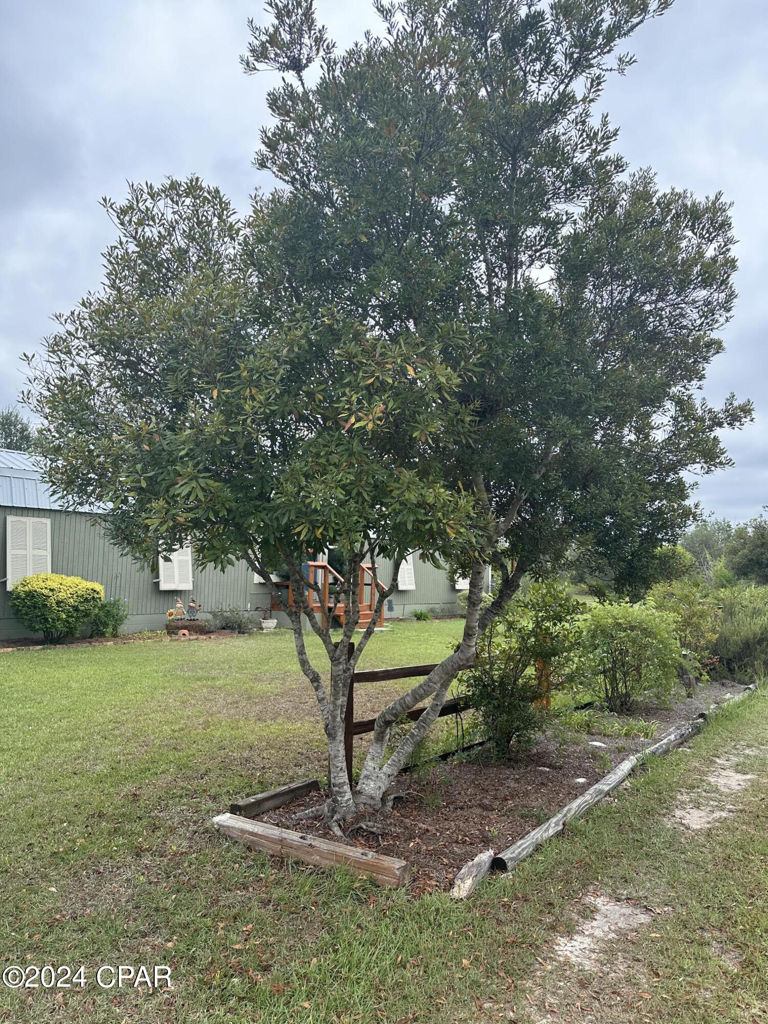 23125 Northwest Walter Potts Road Altha, FL 32421 - Photo 76 of 85