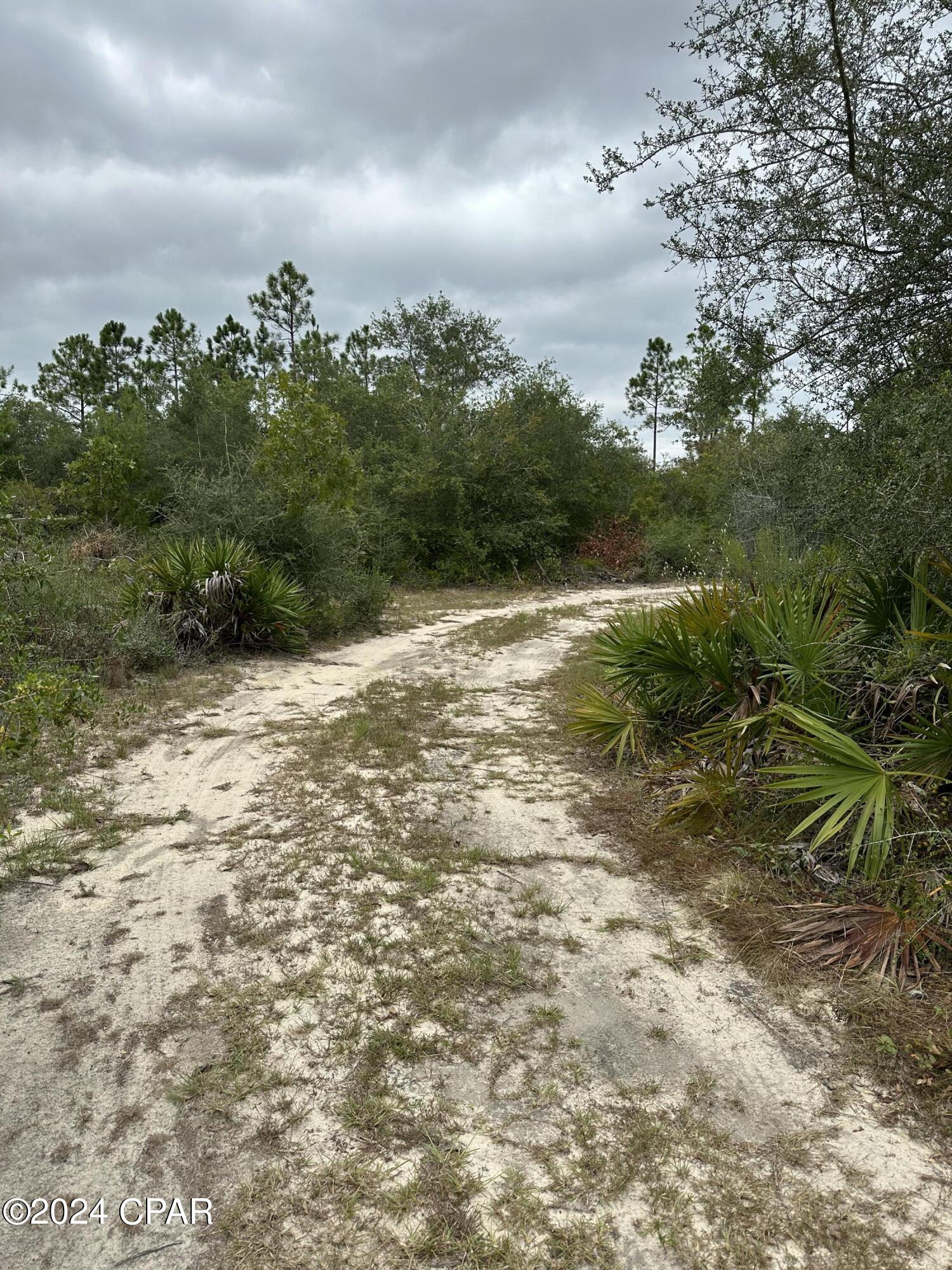 23125 Northwest Walter Potts Road Altha, FL 32421 - Photo 77 of 85